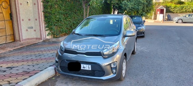 كيا بيكانتو مستعملة 2971624