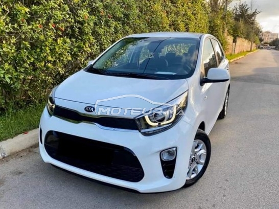كيا بيكانتو مستعملة 1691481