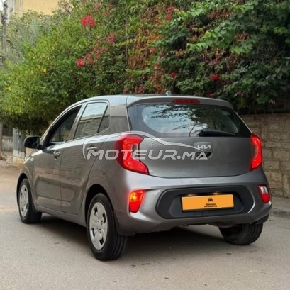 كيا بيكانتو مستعملة 3330358