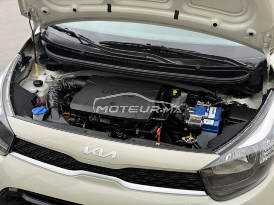 كيا بيكانتو مستعملة 3179697