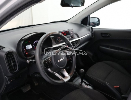 كيا بيكانتو مستعملة 3501615