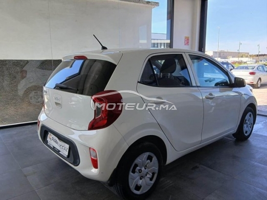 كيا بيكانتو مستعملة 3387897