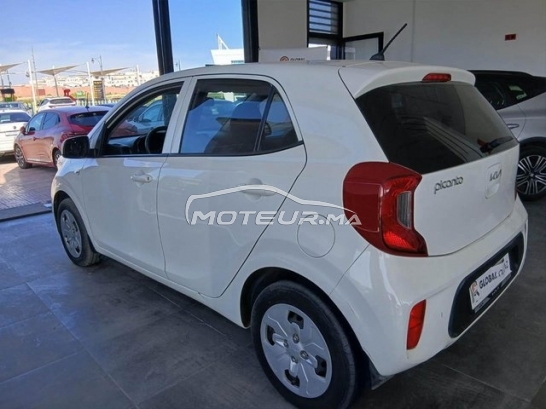 كيا بيكانتو مستعملة 3387895