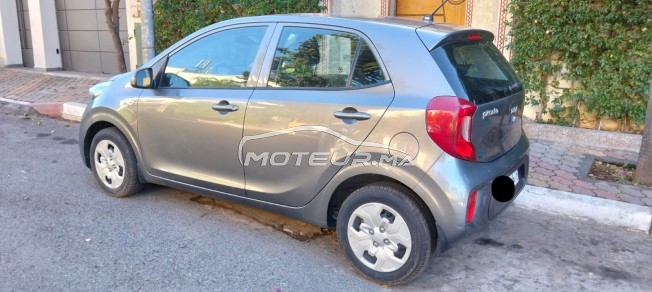 كيا بيكانتو مستعملة 2971621