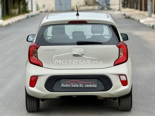 كيا بيكانتو مستعملة 3179688