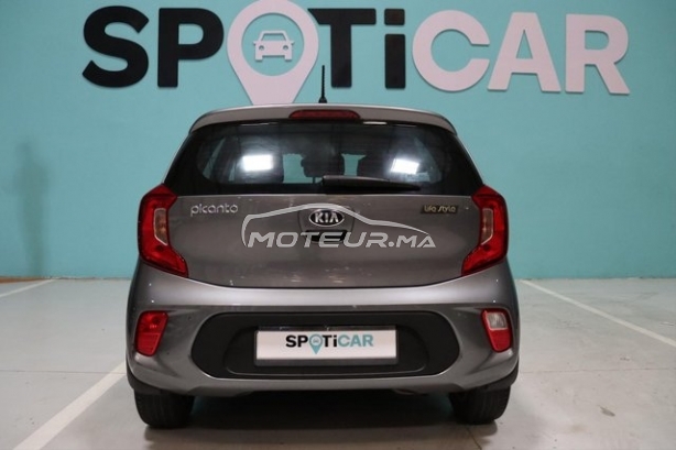 كيا بيكانتو مستعملة 2981880