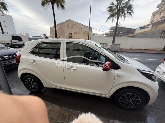 كيا بيكانتو Lifestyl مستعملة 2982312