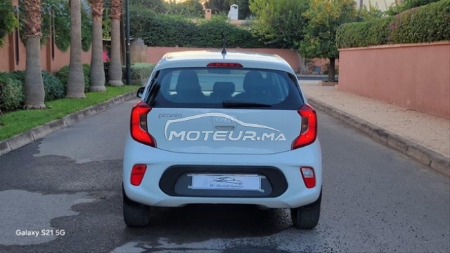 كيا بيكانتو مستعملة 3127751