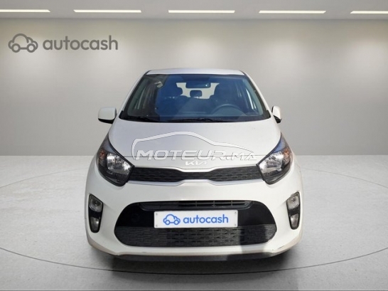 KIA Picanto occasion 2959984