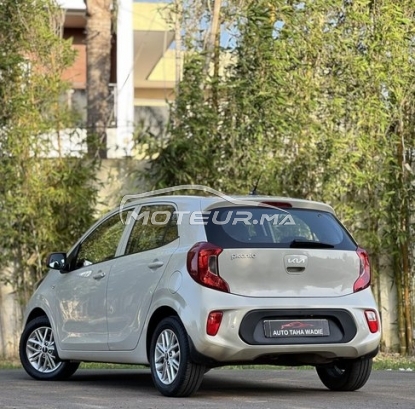 كيا بيكانتو مستعملة 3513386