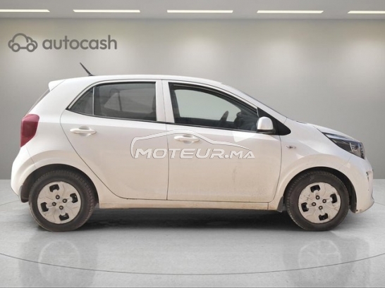 KIA Picanto occasion 2959986