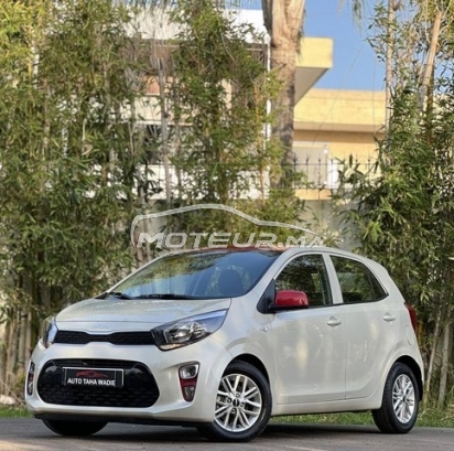 كيا بيكانتو مستعملة 3513381