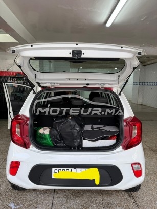 كيا بيكانتو Lifestyl مستعملة 2982309