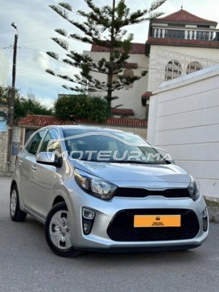 شراء السيارات المستعملة KIA Picanto في المغرب - 442459