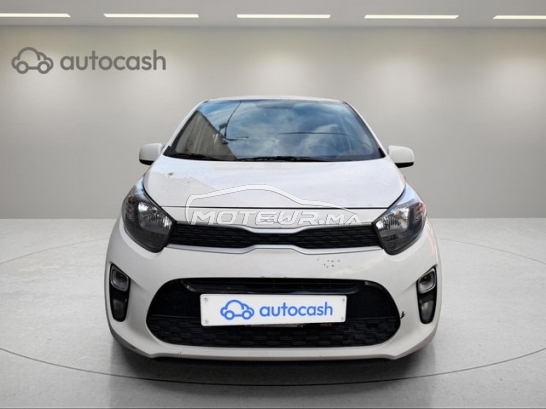 KIA Picanto occasion 3099402