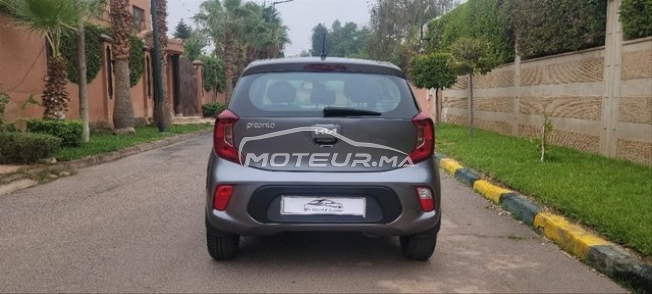 KIA Picanto occasion 3566804