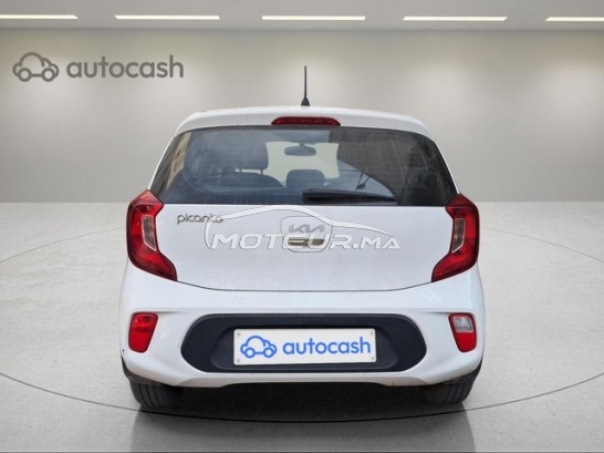 KIA Picanto occasion 3099403