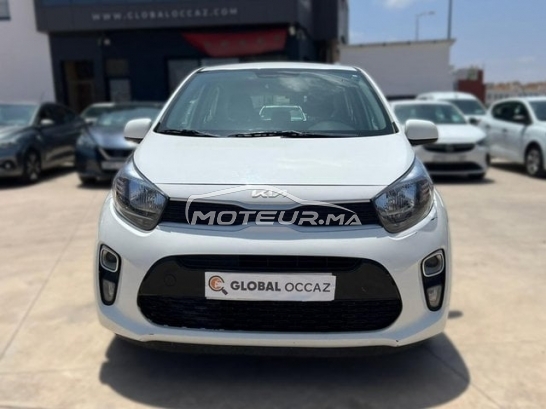 شراء السيارات المستعملة KIA Picanto في المغرب - 490356