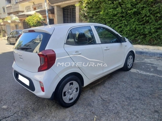 KIA Picanto occasion 2238938