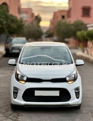 كيا بيكانتو مستعملة 3081681