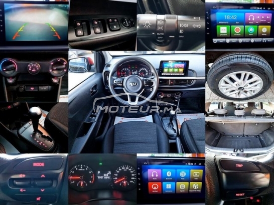 كيا بيكانتو Automatique 6cv 2021 toutes options مستعملة 3481826