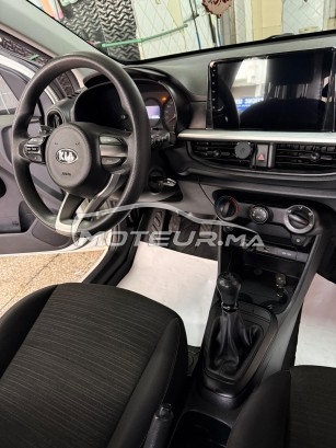 كيا بيكانتو Lifestyl مستعملة 2982319