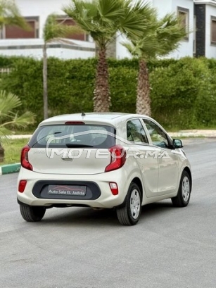 كيا بيكانتو مستعملة 3179687