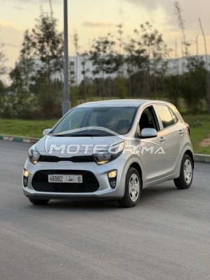 كيا بيكانتو مستعملة 3252035