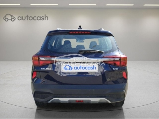 كيا سيلتوس مستعملة 3573961