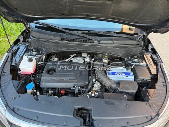 كيا سيلتوس مستعملة 3299167