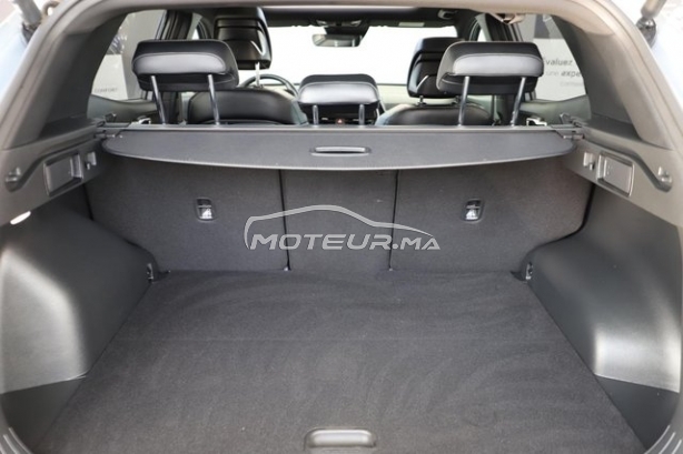 كيا سبورتاجي مستعملة 3323272