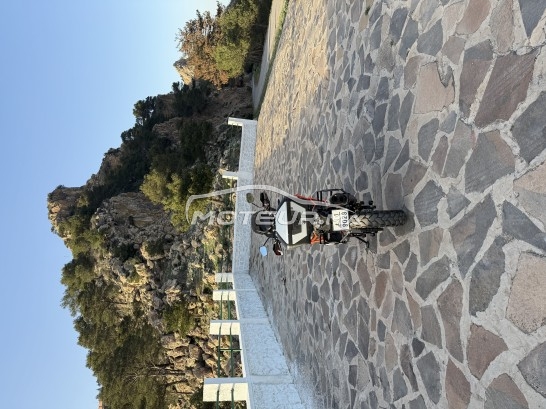 كي تي أم 1290 إسوبير ادفينتوري ر مستعملة 2140923