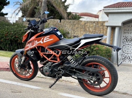 كي تي أم 390 Duke مستعملة 1953822