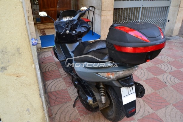 KYMCO Xciting 500 occasion  888916