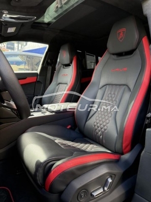 LAMBORGHINI Autre occasion 2864196