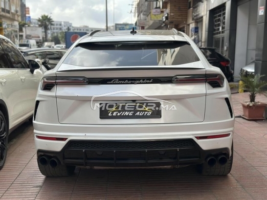 LAMBORGHINI Autre occasion 2973696