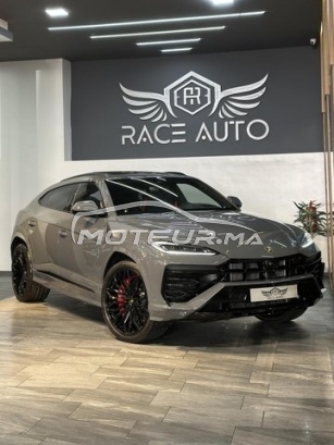 LAMBORGHINI Autre 300 de occasion 2731438