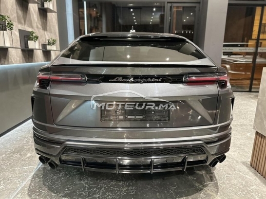 LAMBORGHINI Autre occasion 2973802