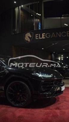 LAMBORGHINI Autre occasion 1602607