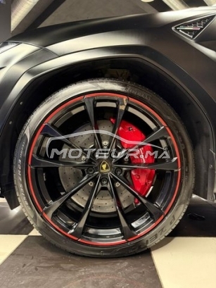 LAMBORGHINI Autre occasion 3072881