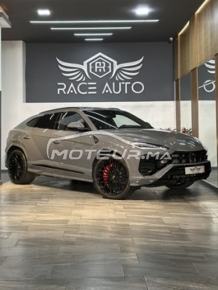 LAMBORGHINI Autre 300 de occasion