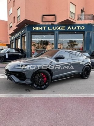 Voiture au Maroc LAMBORGHINI Autre - 489183