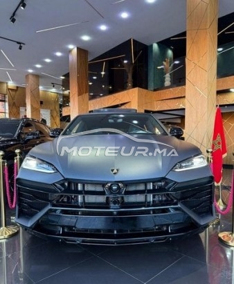 شراء السيارات المستعملة LAMBORGHINI Autre في المغرب - 489890