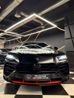 LAMBORGHINI Autre occasion 3072873