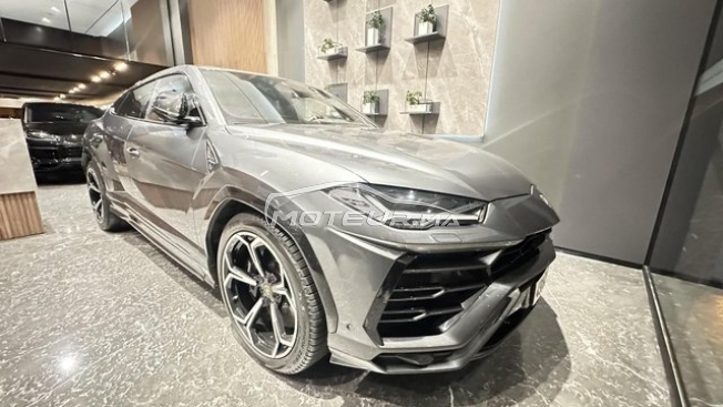 LAMBORGHINI Autre occasion 2973800