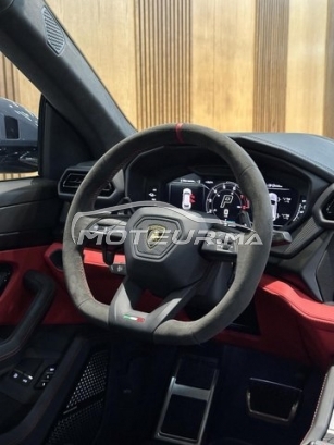 LAMBORGHINI Autre 300 de occasion 2731445