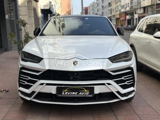 LAMBORGHINI Autre مستعملة