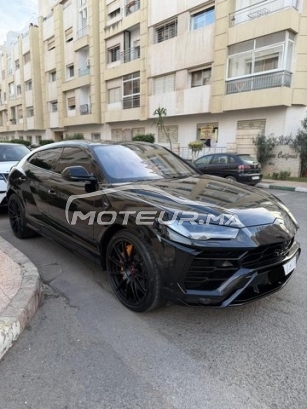 LAMBORGHINI Autre مستعملة