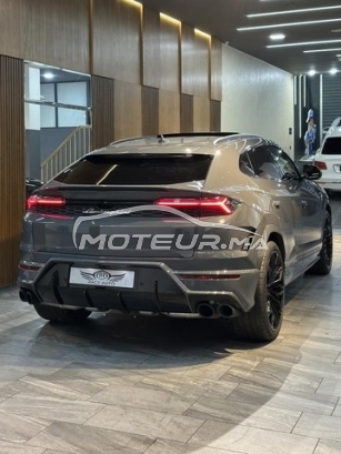 LAMBORGHINI Autre 300 de occasion 2731441