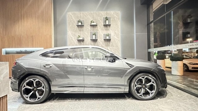 LAMBORGHINI Autre occasion 2973797